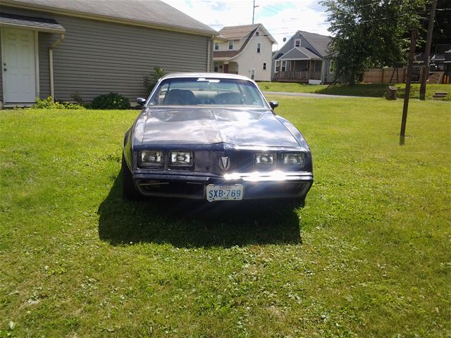 1979 Pontiac Firebird