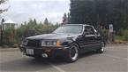 1985 Ford Thunderbird 