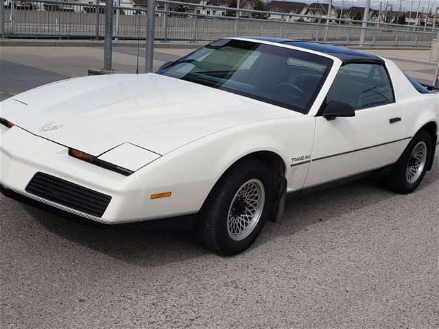 1983 Pontiac Trans Am