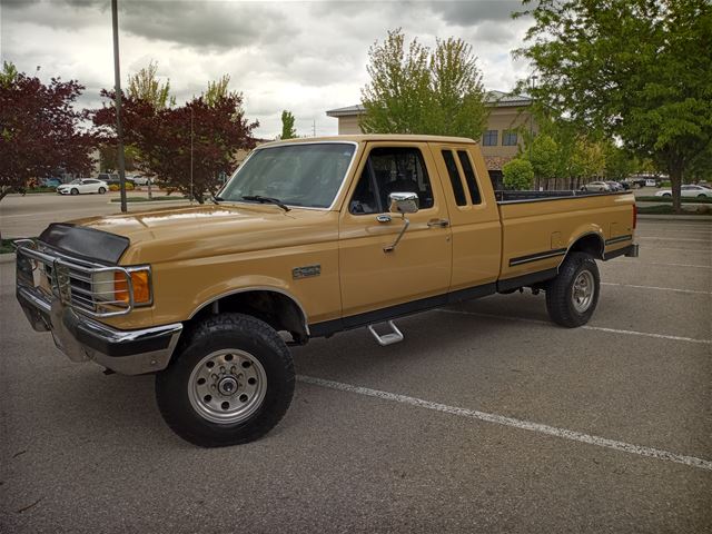 1989 Ford F250