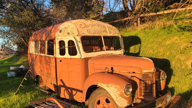 1948 International Bus