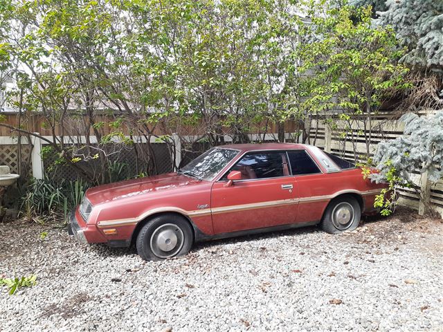 1979 Plymouth Sapporo