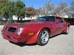 1976 Pontiac Trans Am 