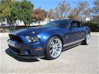 2010 Ford Shelby