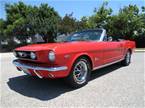 1966 Ford Mustang
