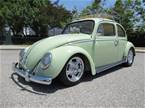 1961 Volkswagen Bug