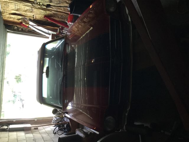 1965 Ford Mustang for sale