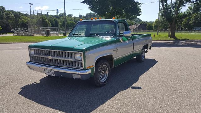 1981 Chevrolet Scottsdale