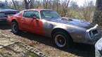 1975 Pontiac Trans Am 