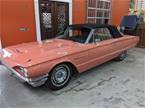 1964 Ford Thunderbird