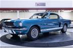 1966 Shelby GT350 