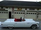 1955 Ford Thunderbird