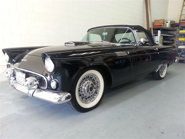 1956 Ford Thunderbird