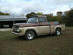 1959 Ford F100