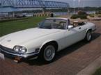 1988 Jaguar XJS 