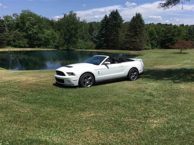 2010 Ford Shelby