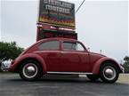 1961 Volkswagen Beetle