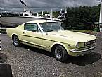 1965 Ford Mustang