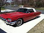 1965 Ford Thunderbird