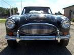 1967 Austin Healey 3000 