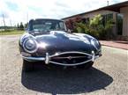 1967 Jaguar XKE