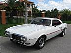 1968 Pontiac Firebird