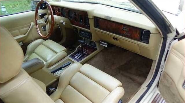 1983 Zimmer Golden Spirit