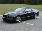 2008 Ford Shelby 