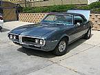 1968 Pontiac Firebird