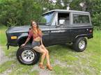 1973 Ford Bronco