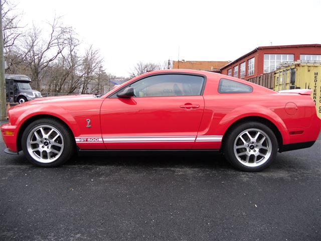 2007 Ford Shelby