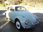 1964 Volkswagen Beetle 