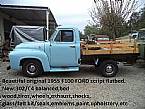 1955 Ford F100 