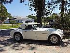 1953 Austin Healey Sebring