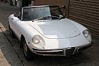 1969 Alfa Romeo Spider 