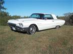 1964 Ford Thunderbird