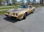 1979 Pontiac Trans Am 