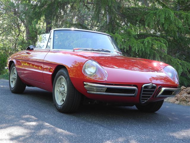1967 Alfa Romeo Duetto for sale