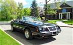 1984 Ford Mustang 