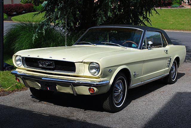 1966 Ford mustang coupe springtime yellow #3