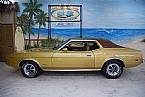 1973 Ford Mustang