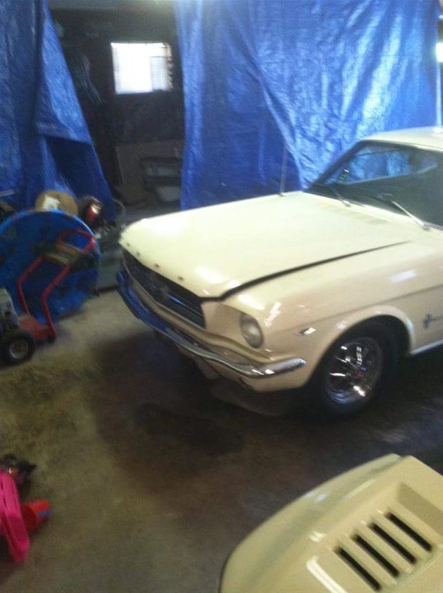 1964 1/2 Ford Mustang