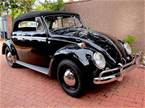 1964 Volkswagen Beetle 