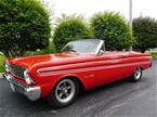 1964 Ford Falcon