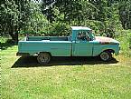1964 Ford F100