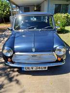 1981 Austin Mini