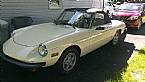 1979 Alfa Romeo Spider