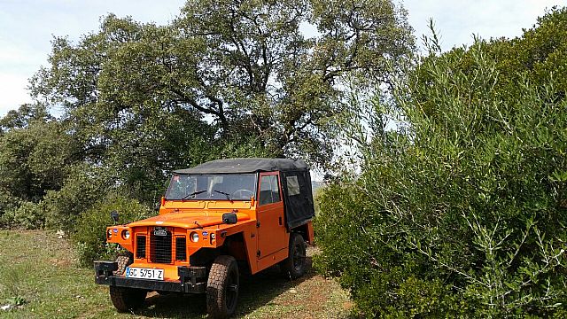 1985 Land Rover III