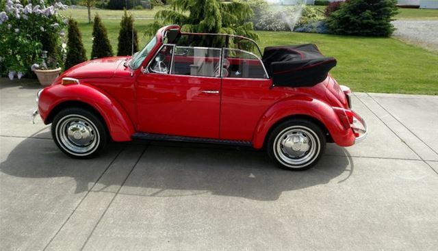 1979 Volkswagen Beetle