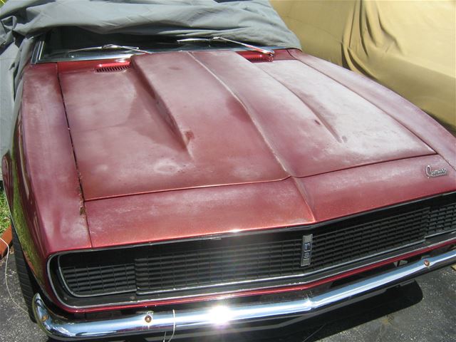 1967 Chevrolet Camaro for sale
